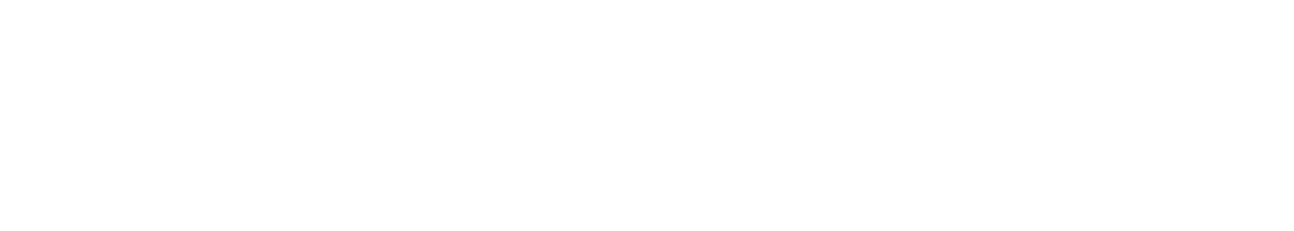 gme pro transparent logo